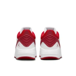 Herren Basketballschuhe JORDAN MAX AURA 5