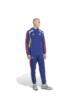 Herren Fußballhoodie FC ARSENAL FESTIVAL PACK HOODIE