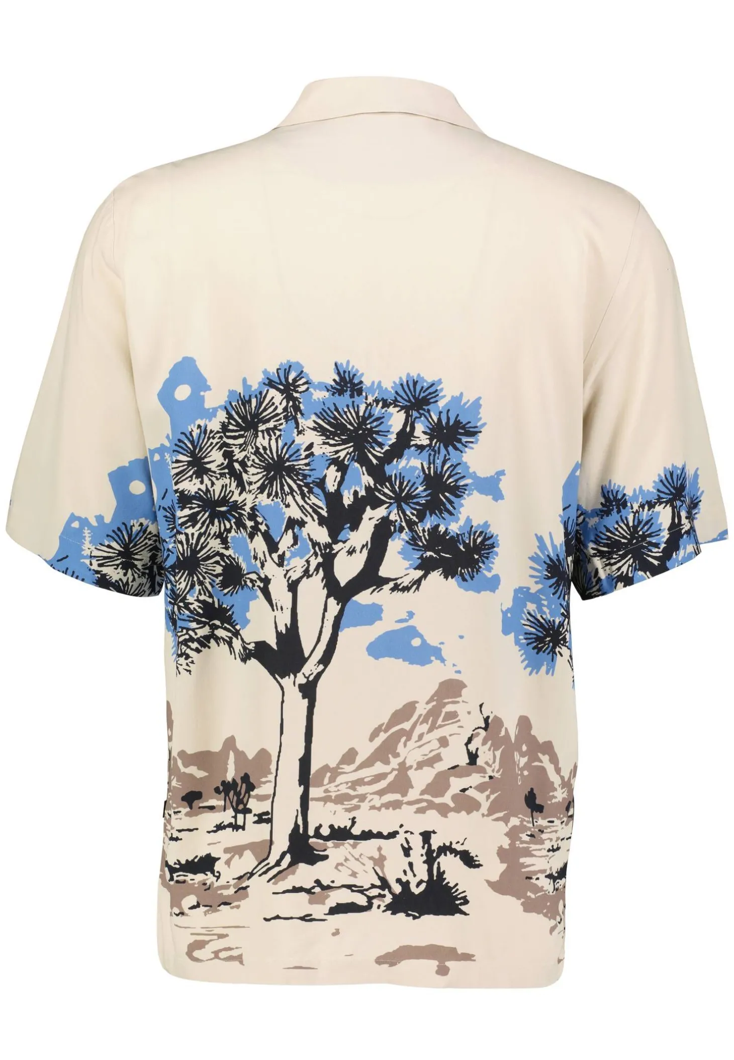 Herren Hemd RAYER_M Regular Fit