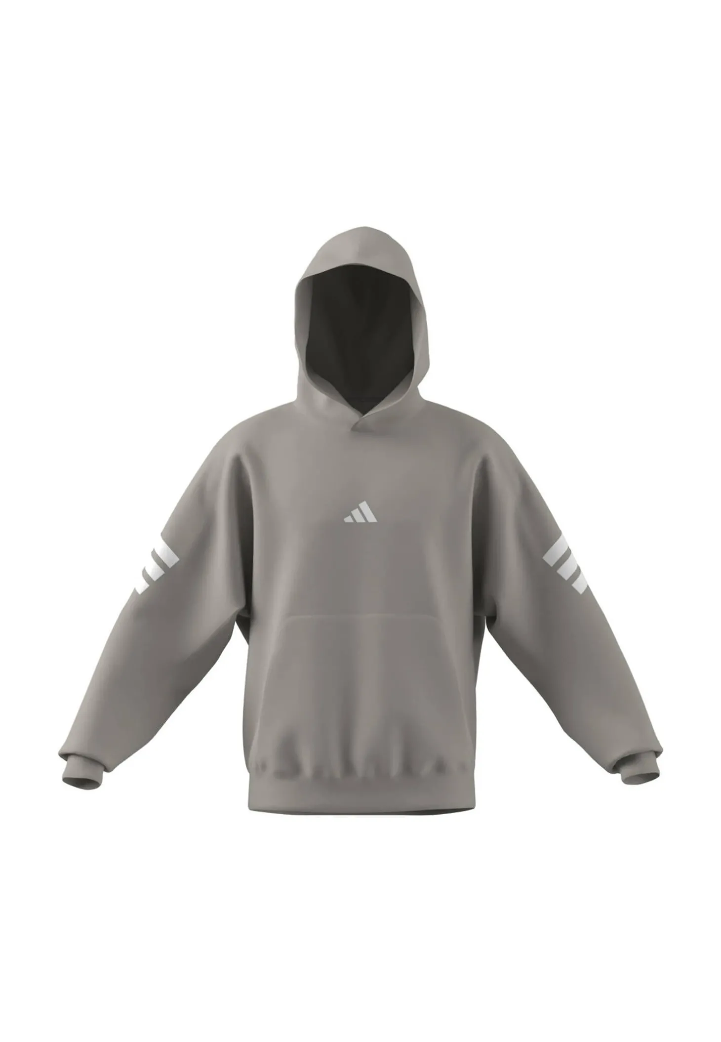 Herren Hoodie Regular Fit