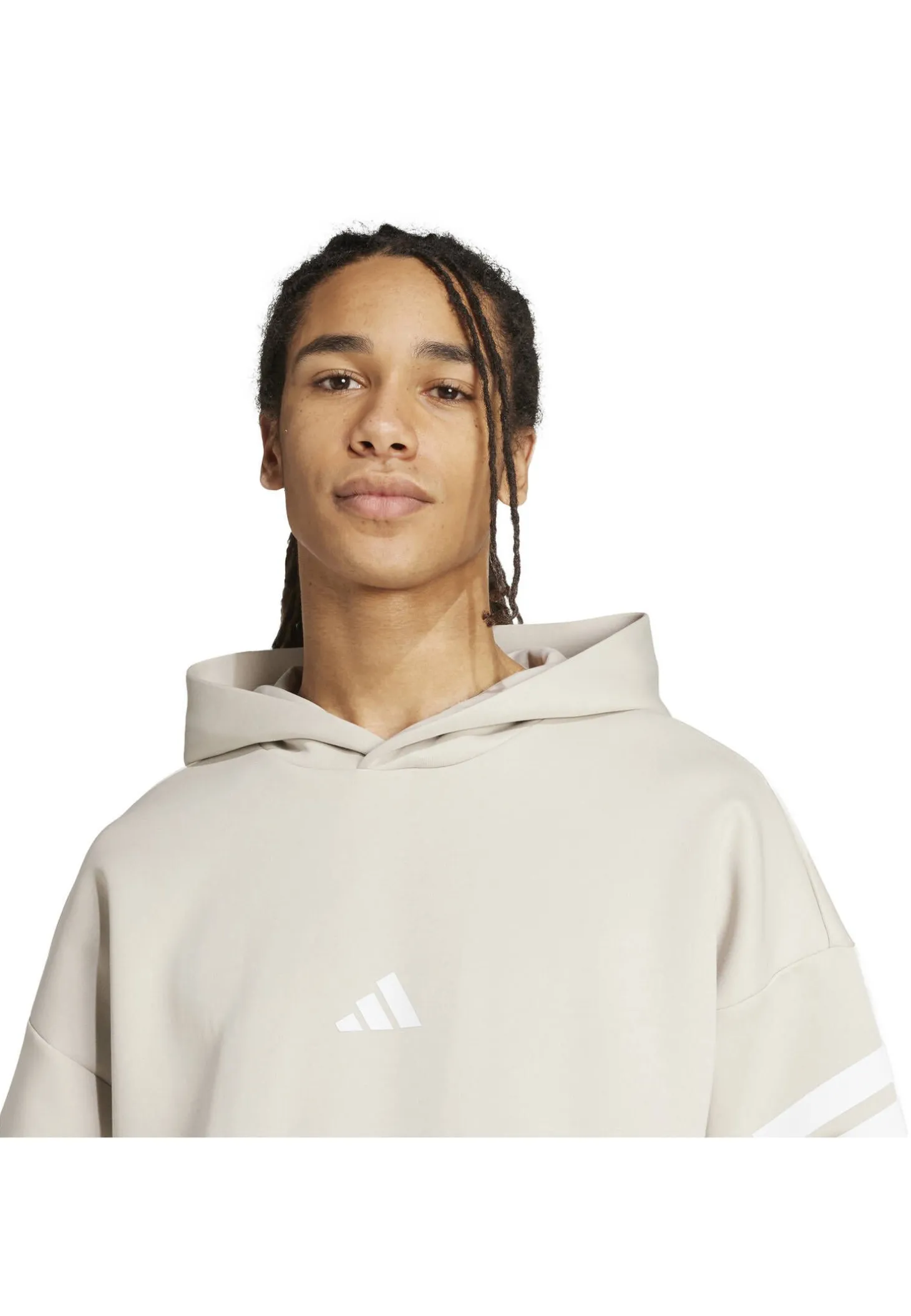 Herren Hoodie Regular Fit