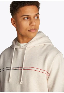 Herren Hoodie Regular Fit
