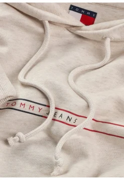 Herren Hoodie Regular Fit