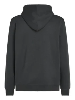 Herren Hoodie TJM REG ESSENTIAL FLAG HOOD EXT