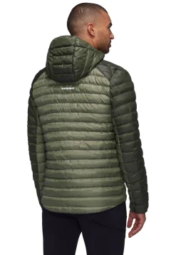 Herren Isolationsjacke ALBULA IN HOODED JACKET MEN