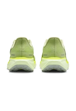 Herren Laufschuhe AIR PEGASUS 41