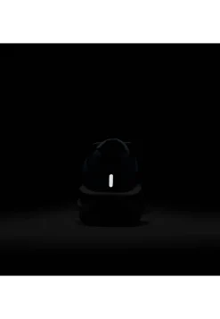 Herren Laufschuhe DOWNSHIFTER 13