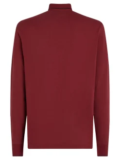 Herren Poloshirt LS ZIP RWB DETAIL REG POLO