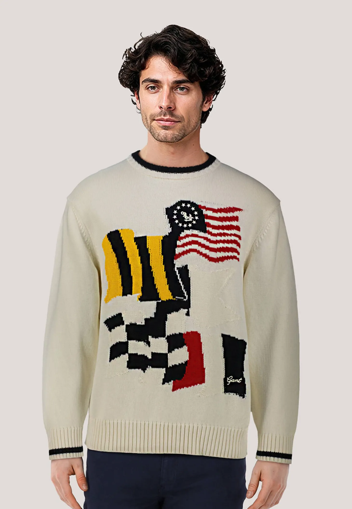 Herren Pullover aus Baumwolle Relaxed Fit