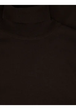 Herren Rollkragenpullover aus Merinowolle RICHARDS