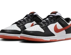 Herren Sneaker DUNK LOW RETRO