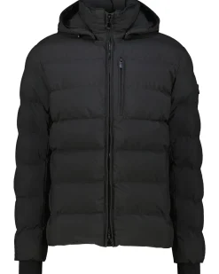 Herren Steppjacke BLACKBIRD SHORT