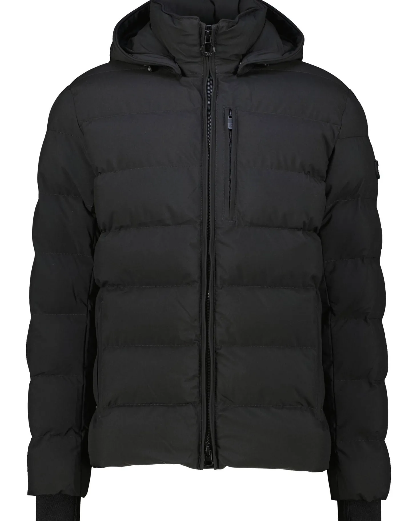 Herren Steppjacke BLACKBIRD SHORT