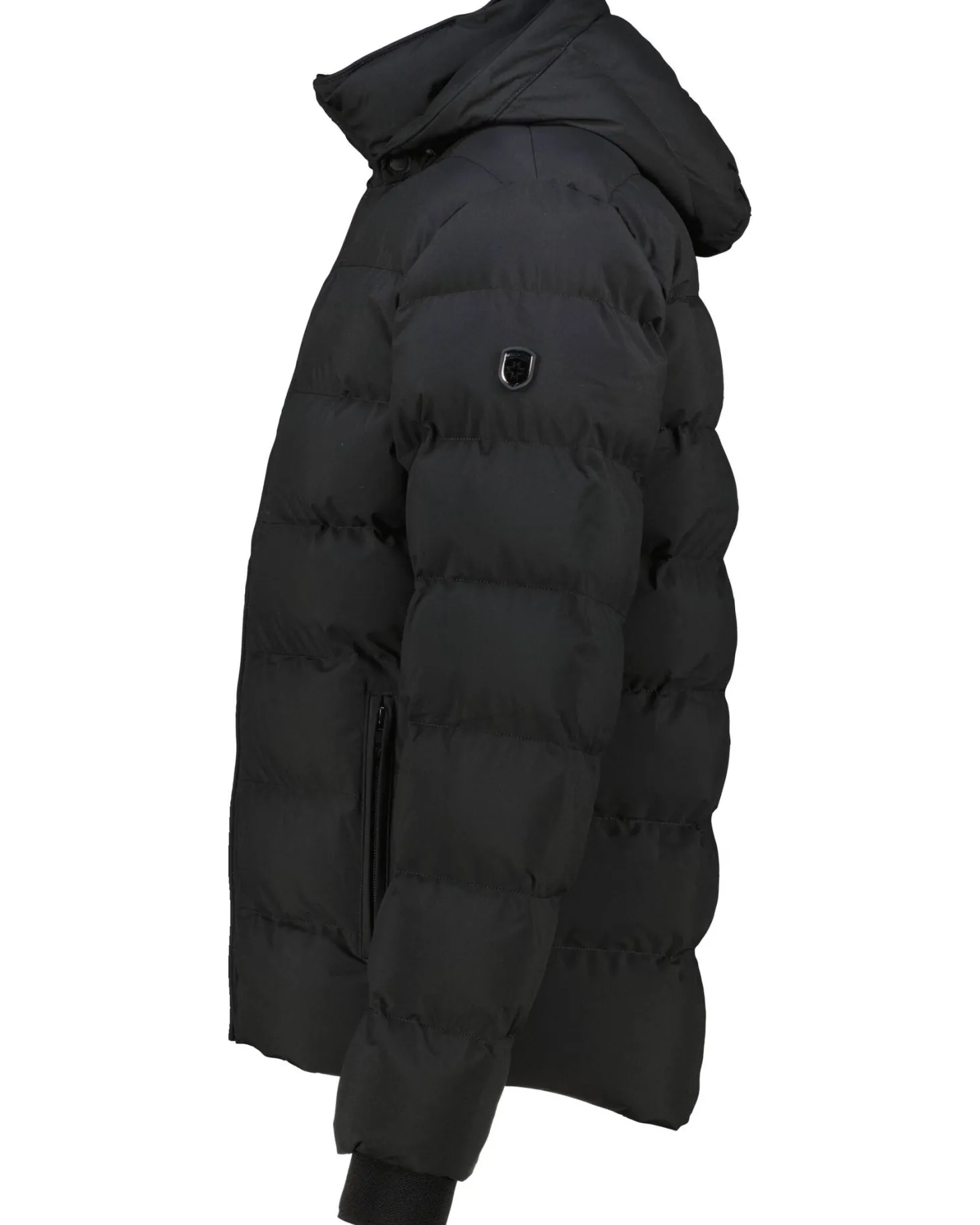 Herren Steppjacke BLACKBIRD SHORT