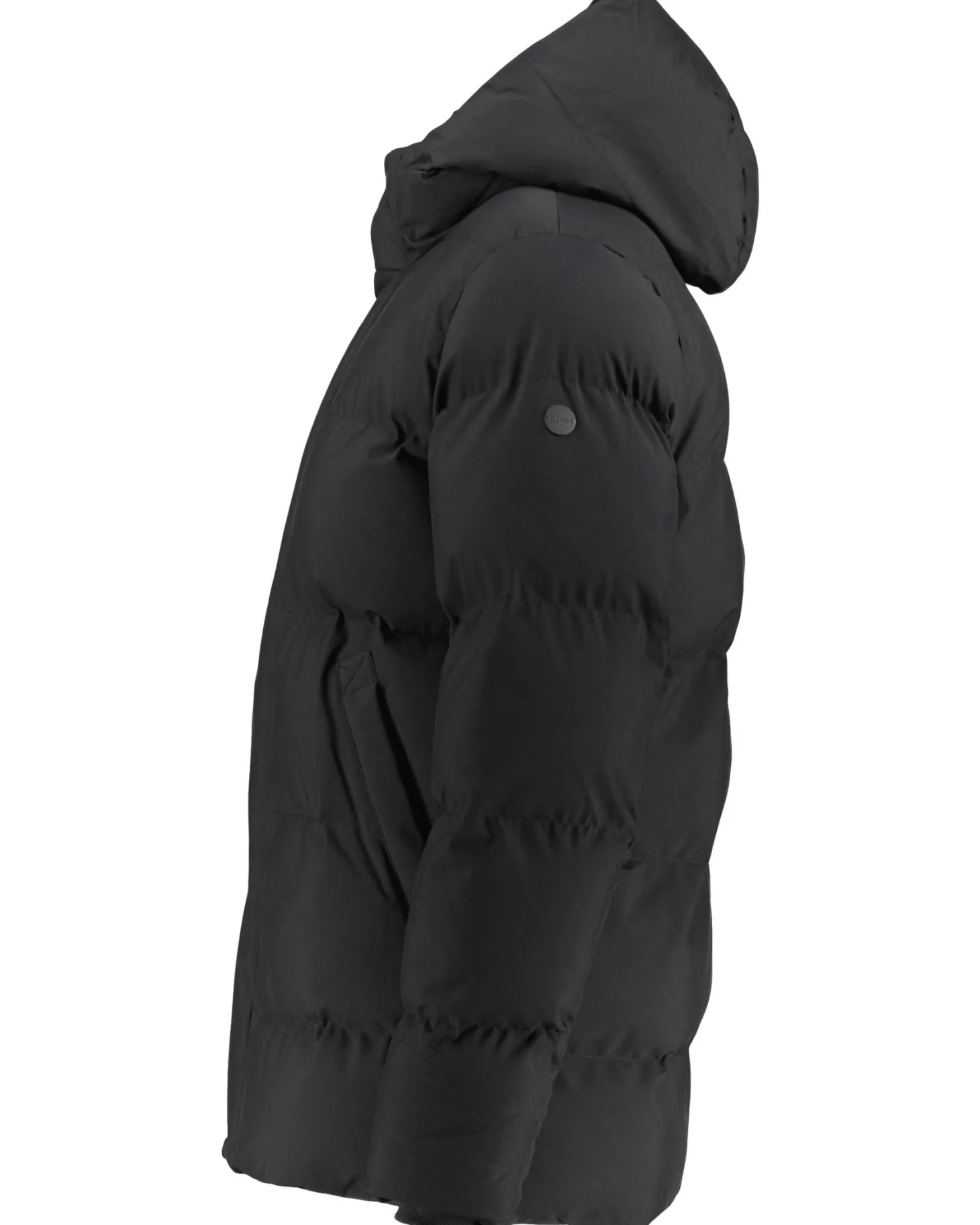 Herren Steppjacke BROR REC