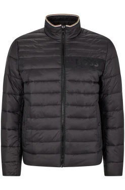 Herren Steppjacke DAROLUS