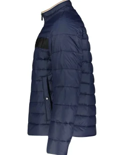 Herren Steppjacke DAROLUS