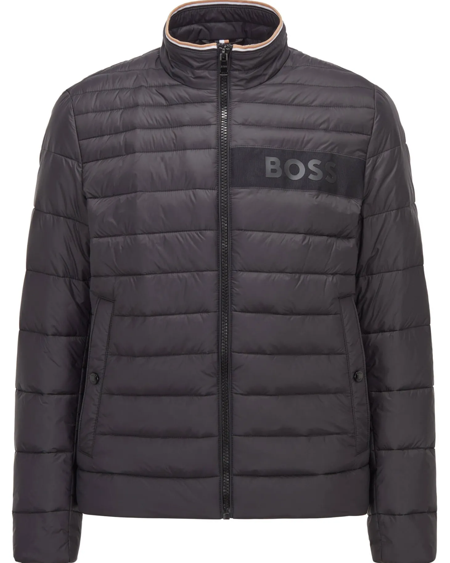Herren Steppjacke DAROLUS
