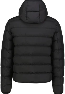 Herren Steppjacke mit Kapuze MONTBROCQ