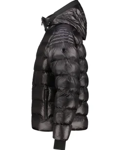 Herren Steppjacke mit SORONA®-Isolierung und Kapuze BLACKJACK