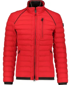 Herren Steppjacke MOL MEN