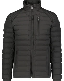 Herren Steppjacke MOLM-565