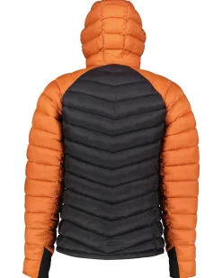 Herren Steppjacke PERRYVILLE