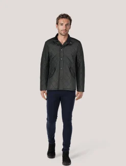 Herren Steppjacke POWELL QUILT