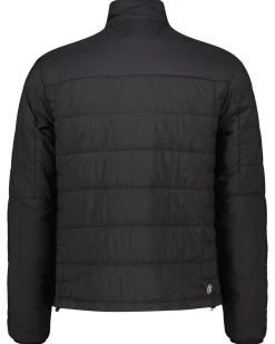 Herren Steppjacke wasserabweisend