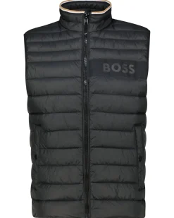 Herren Steppweste DAROLAN