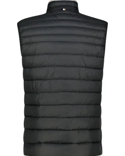 Herren Steppweste DAROLAN