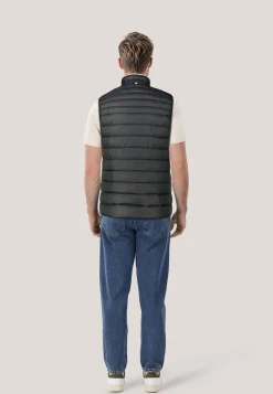 Herren Steppweste DAROLAN