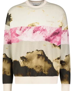 Herren Sweatshirt OMBRE