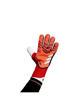 Herren Torwarthandschuhe PREDATOR PRO