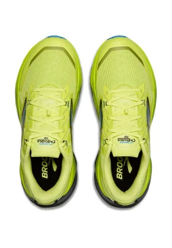 Herren Trailrunningschuhe CASCADIA 19