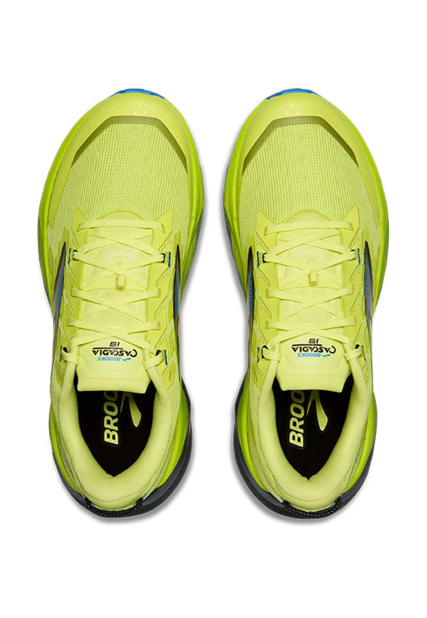 Herren Trailrunningschuhe CASCADIA 19