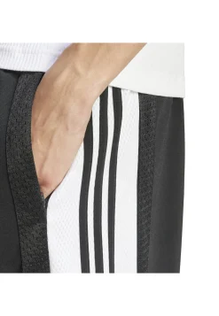 Herren Trainingshose Regular Fit