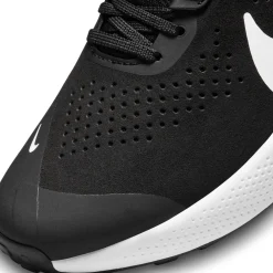 Herren Trainingsschuhe NIKE AIR ZOOM TR 1