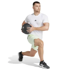 Herren Trainingsshirt D4T