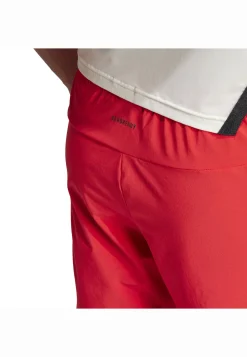 Herren Trainingsshorts DESIGNED FOR TRAINING Regular Fit