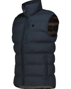 Herren Weste BLACKBIRD