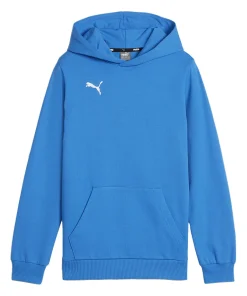Kinder Fußball - Teamsport Textil - Sweatshirts teamGOAL Casuals Hoody Kids