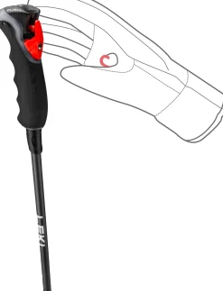 Skistöcke CARBON 12 3D